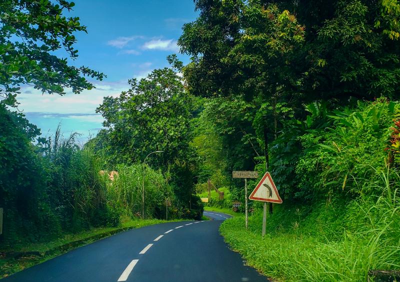 Featured image of post Pérégrinations en Martinique